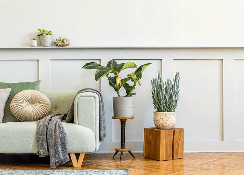 Living room in Palm Springs rental.